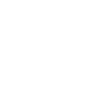 Prusa logo