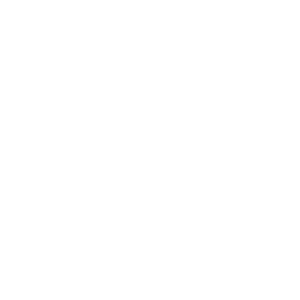Ale Borghese logo