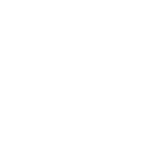 Fiuggi logo