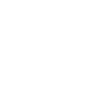 Iris Ceramica logo
