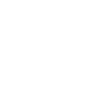 New Life logo