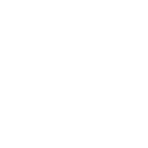 Ploom logo