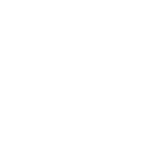 NP logo